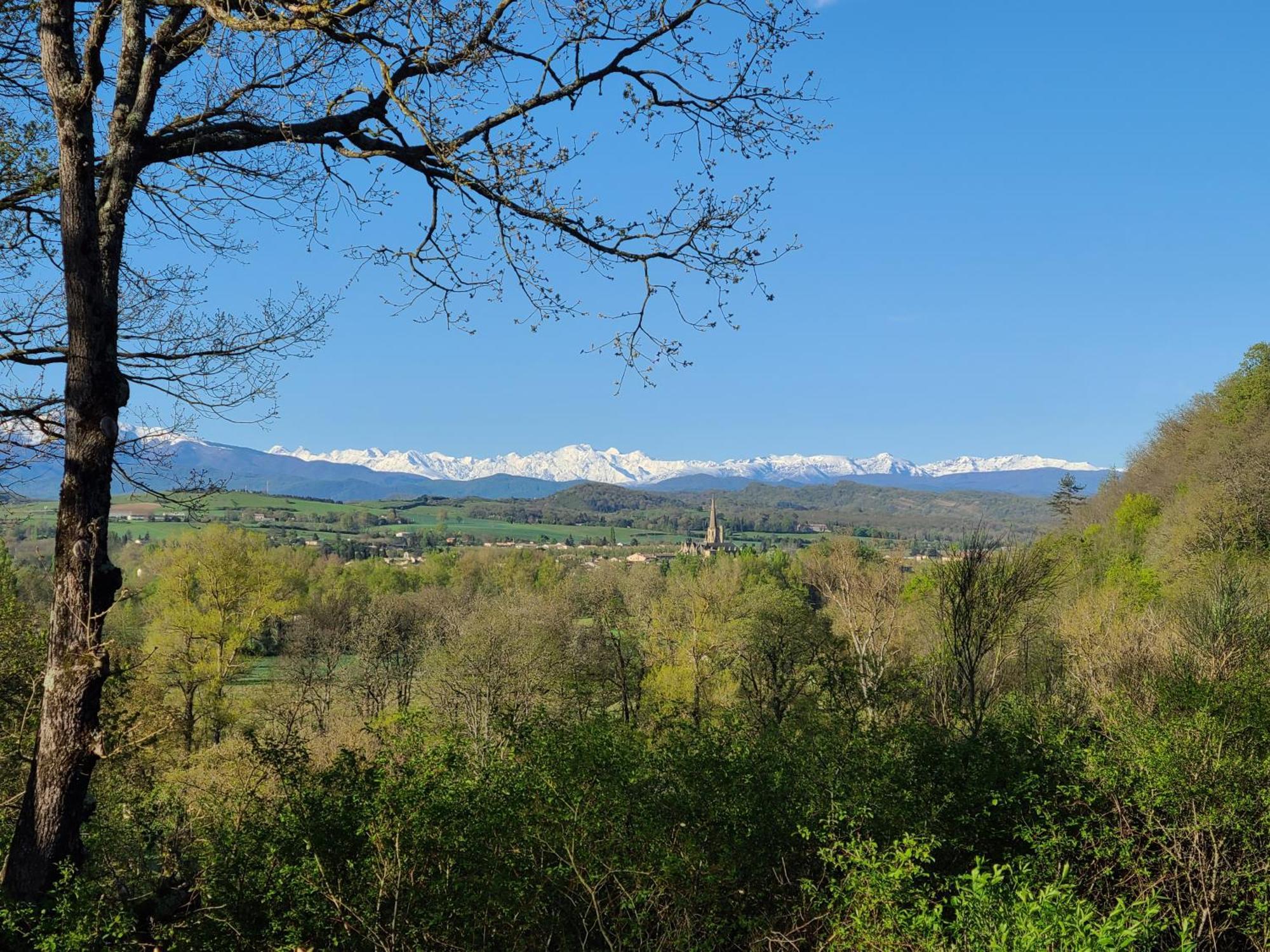 - - - - -Les Colombages - - - - Chambre D'Hotes-Gite- Classement Gite 3 Etoiles Mirepoix  Exterior foto